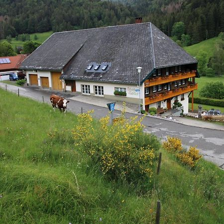 Ferienwohnung Talblick Todtmoos Extérieur photo