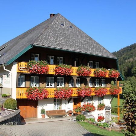 Ferienwohnung Talblick Todtmoos Extérieur photo