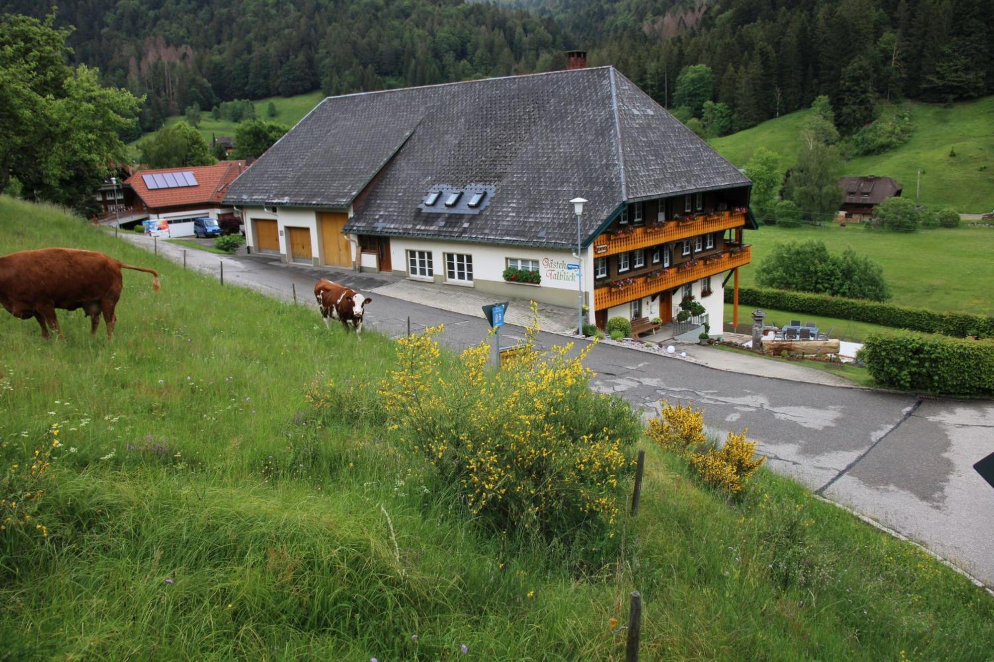 Ferienwohnung Talblick Todtmoos Extérieur photo