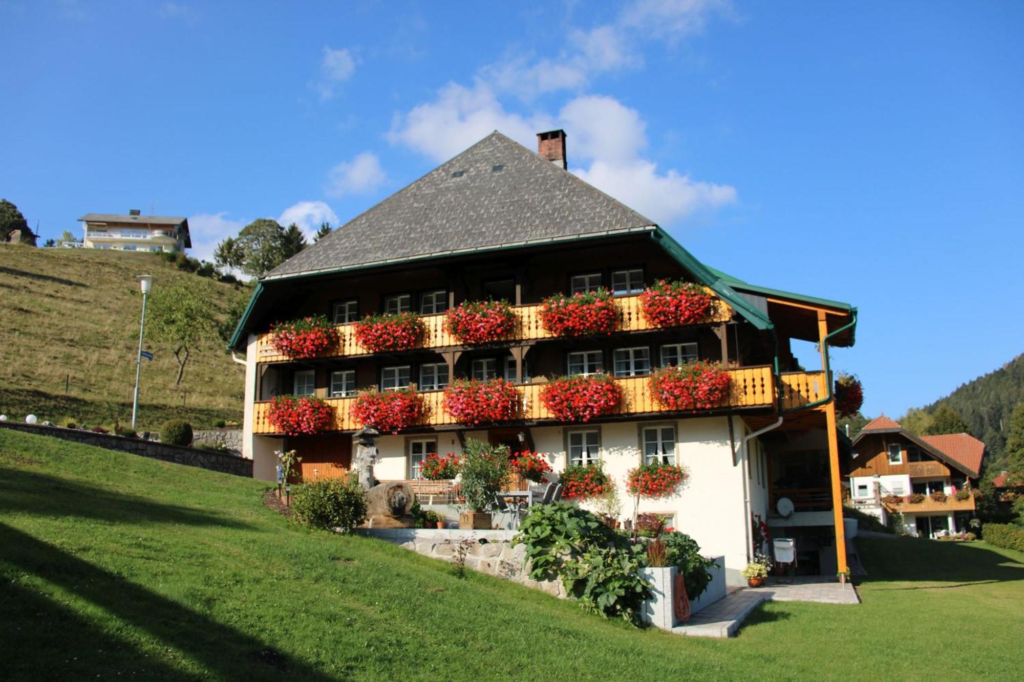 Ferienwohnung Talblick Todtmoos Extérieur photo